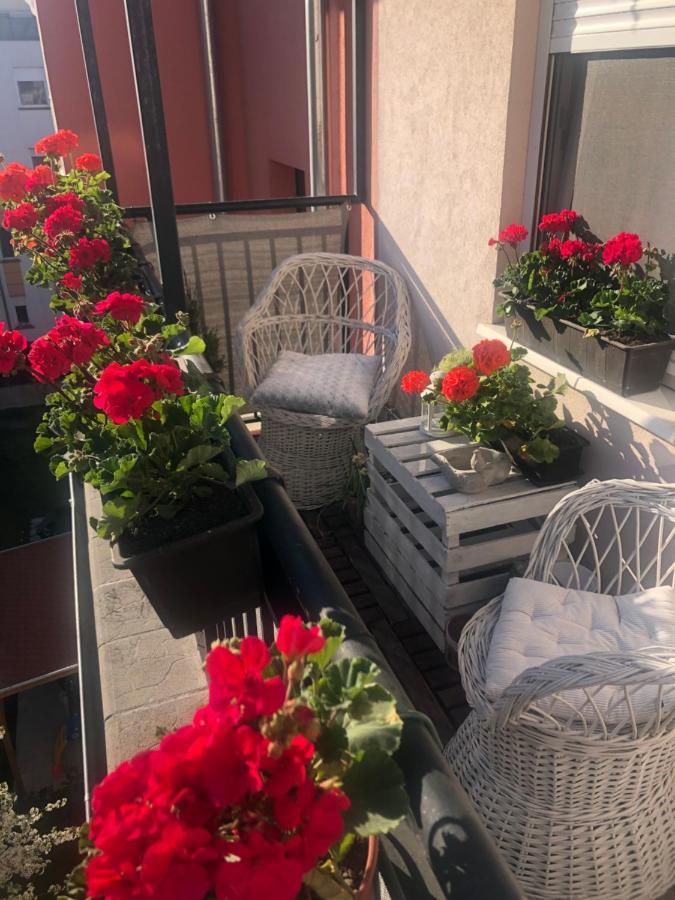 Barbara'S Apartment Budapest Exterior photo